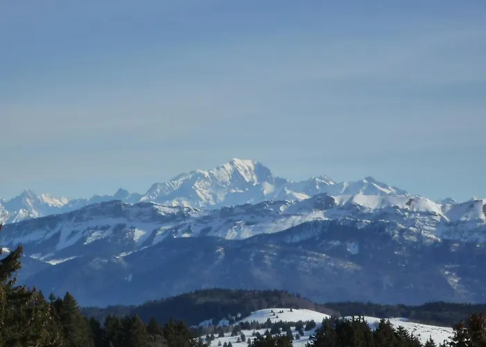 Aux Meubles Du Manoir 3* Aix-les-Bains