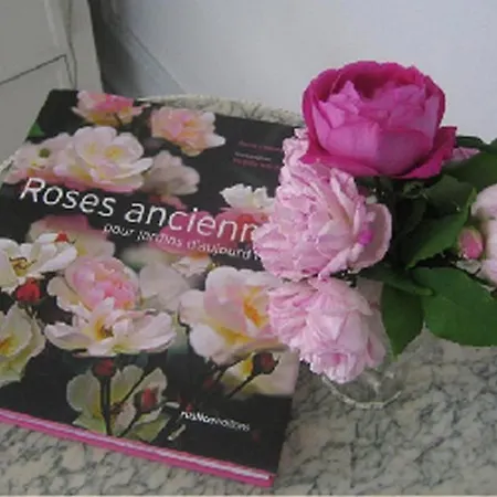 Aux Meubles Du Manoir 3*