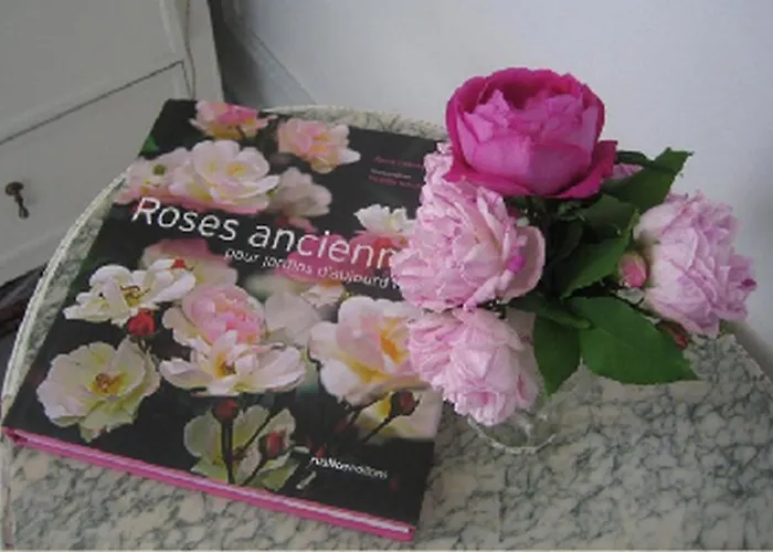 Aux Meubles Du Manoir 3*